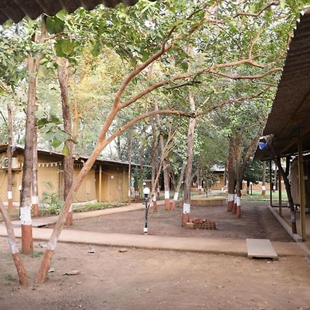 Nature Trails Sajan, Vikramgad Kudān Exterior foto