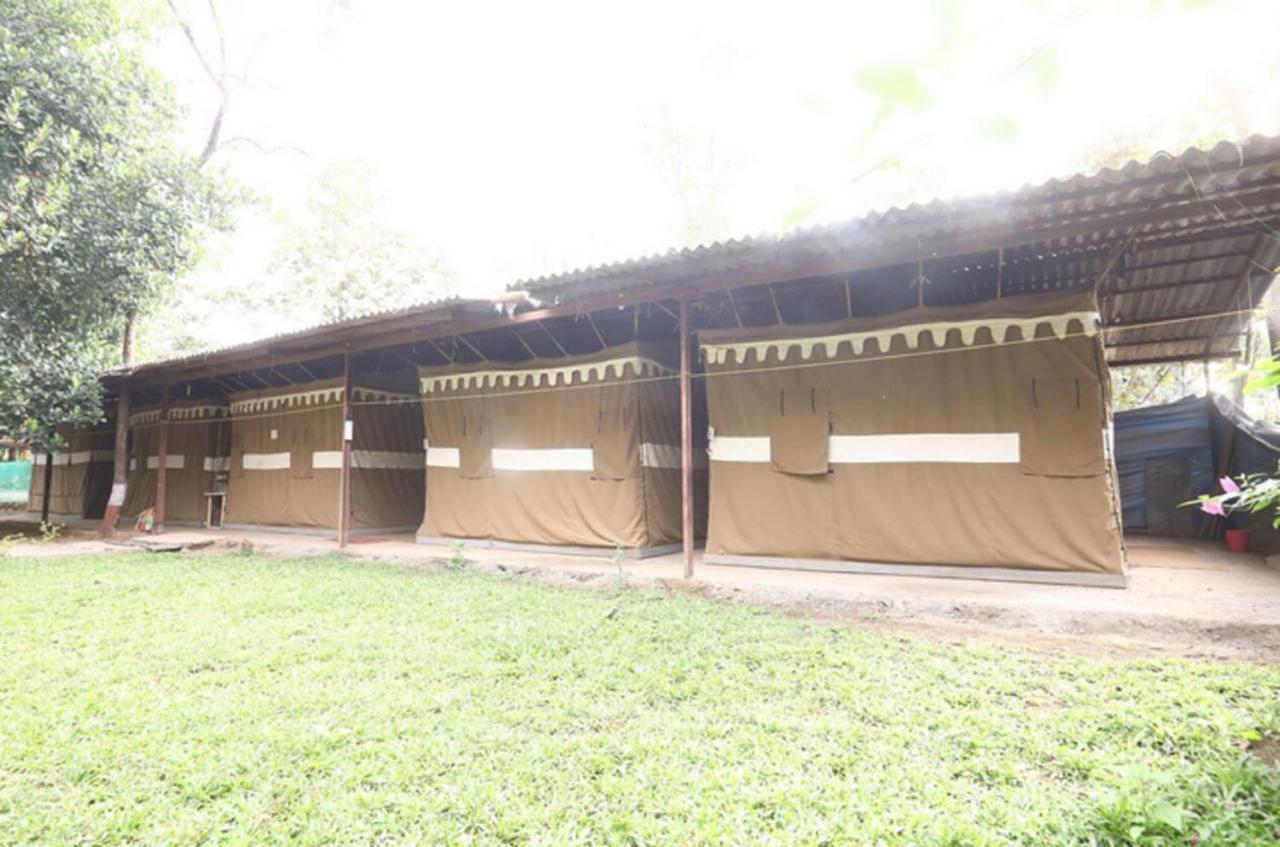 Nature Trails Sajan, Vikramgad Kudān Exterior foto